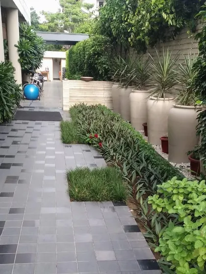 This garden path in Panipat uses a modern design, integrating squares of grass within the grey tiled walkway. The path is lined with a dense bed of rhoeo plants and large ceramic planters.