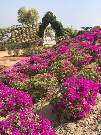 Ratnashri Landscapers - Landscape Design & Build Grand Scale: Farmhouses & Botanical Gardens photo 7