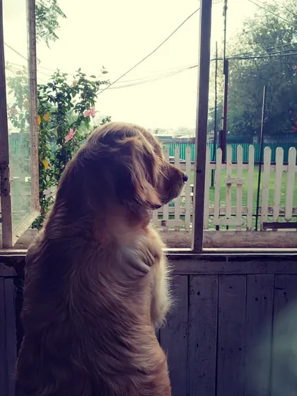 Patiently watching the weather. We make sure our guests are always comfortable, whether they're inside or out.