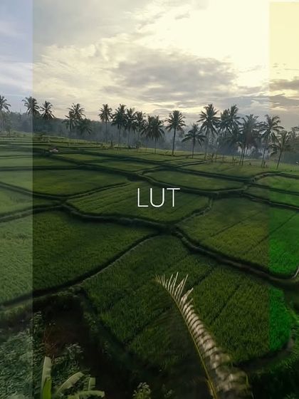 A step-by-step visual breakdown of my editing process, showing how raw FPV footage is transformed with stabilization, a LUT application, and a final color grade to achieve a cinematic look.