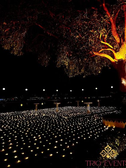 Spectacular Sangeet & Reception Nights photo 32