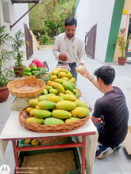 A farmer's stall with a beautiful display of organic mangoes, including Dasheri and other varieties.