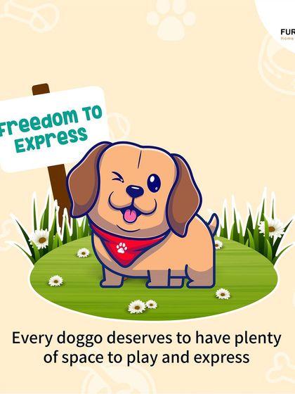 Every dog deserves these five fundamental freedoms: freedom from hunger, discomfort, pain, fear, and the freedom to express normal behavior. This is the foundation of responsible and compassionate pet ownership.