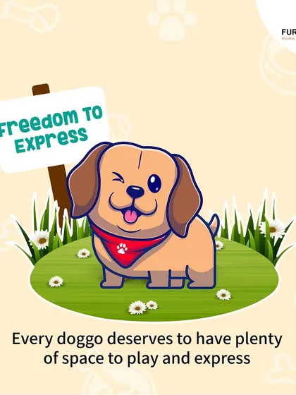This extensive library of educational content covers everything a pet parent needs to know, from the benefits of turmeric and moringa to tips for hydration, sleep, dental health, and raising a new puppy.