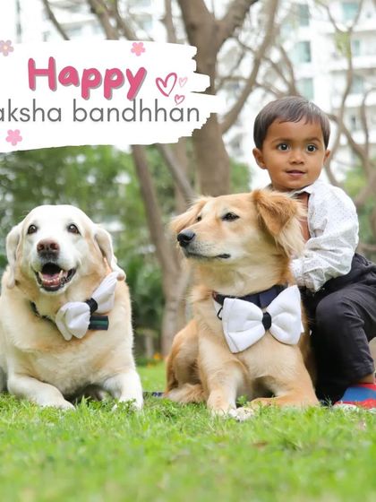 Sniff Stories - Pet & Family Photography Growing Up Together photo 4