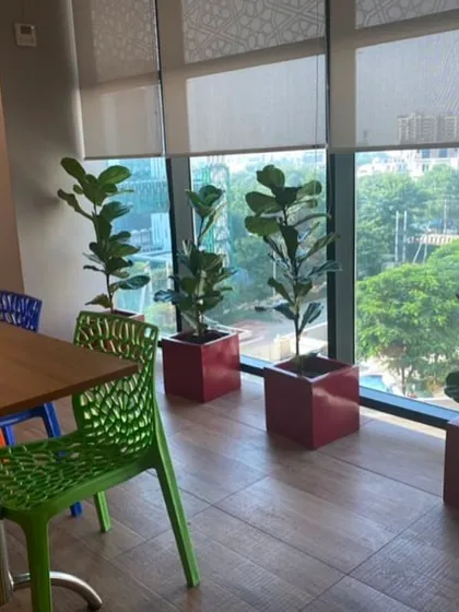 Large windows and statement plants are a perfect match. For this conference room, I chose tall Fiddle Leaf Fig trees in bold red planters to add height and drama, making the space feel more grounded and connected to the outdoors.