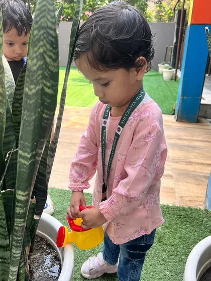 A child carefully waters a snake plant, learning about different types of plants in our school garden. It's a practical life lesson in caring for our environment.