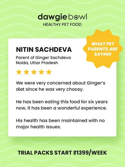 Six years and still going strong! This review from Ginger's parent in Noida shows our long-term commitment to maintaining health and satisfying even choosy pets.
