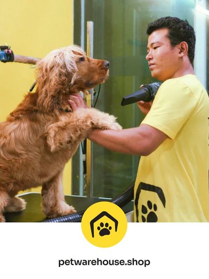 Pet Warehouse - Pet Grooming Services Our Grooming Spa in Action photo 11