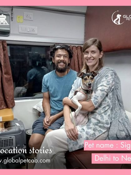 Global Pet Cab - Domestic Pet Relocation Train Travel: First-Class Coupe Journeys photo 20