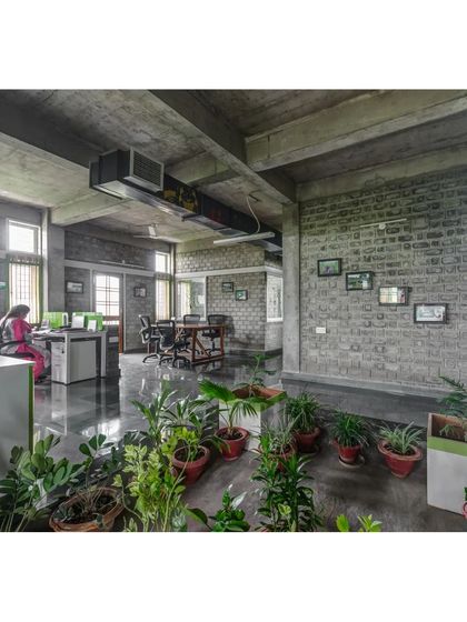 Indoor plants and green spaces are integrated throughout the ASA office. This not only improves air quality but also creates a calming and biophilic work environment for the staff.