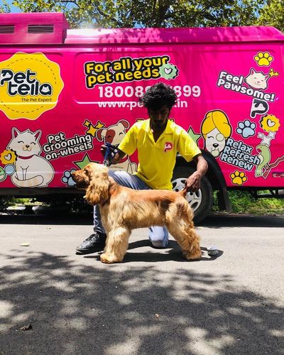 Mobile Pet Grooming