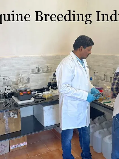 A look inside our equine reproduction lab where our team works on processing samples. This scientific approach is what sets our sport horse breeding program apart.
