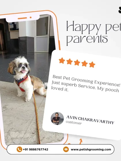 Petish Grooming - Mobile Grooming for Dogs & Cats Happy Pet Parents: Reviews & Testimonials photo 7