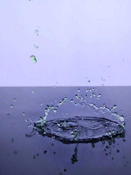 Dynamic Action Shots photo 5