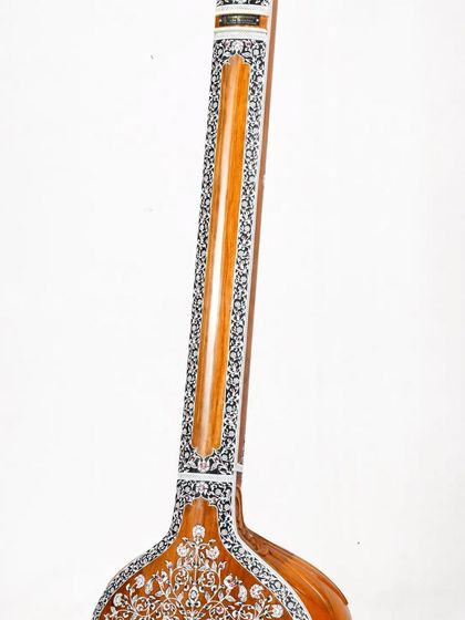 Tanpuras and Tanpuris photo 33