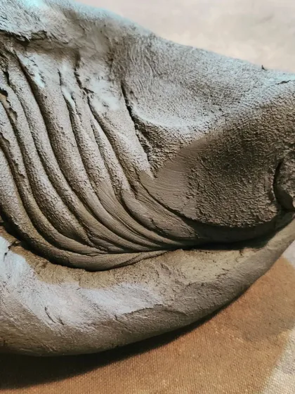 Another view of the spiral pattern created during the kneading process. The lines show how the clay has been folded and pressed to align the clay particles, which is a vital step for successful throwing.
