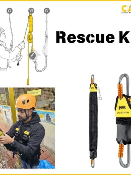 Charlie's Animal Rescue Centre - Animal Rescue & Adoption Our Voice: Advocacy & Awareness photo 8