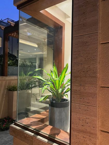 Indoor Plant Styling for Homes photo 7