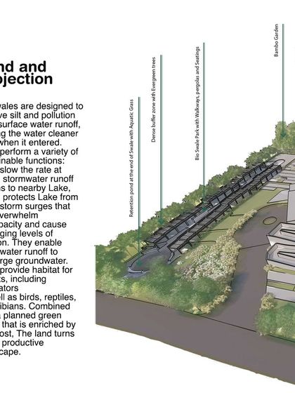 A projection showing how bioswales are integrated into the landscape design. These features slow and filter stormwater, prevent erosion, recharge groundwater, and provide critical habitat for insects, birds, and amphibians.