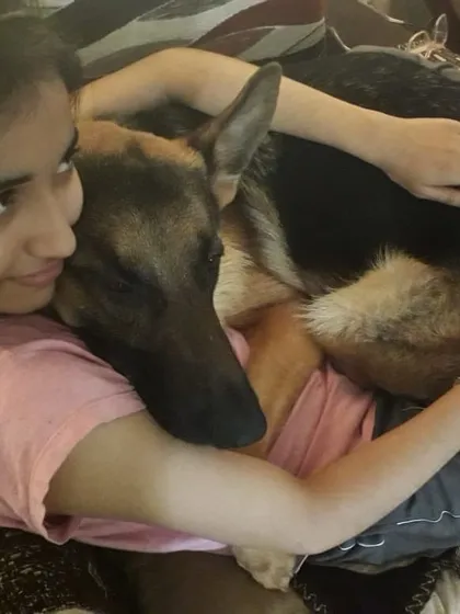 Sometimes he just wants to be a lap dog while we watch TV. These quiet moments of connection are what it's all about.
