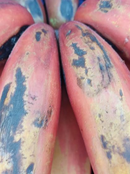 A close-up of red bananas, a variety known for its sweet taste and creamy texture.