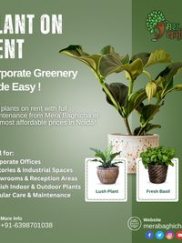 Corporate & Event Plant Solutions