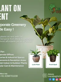Corporate & Event Plant Solutions
