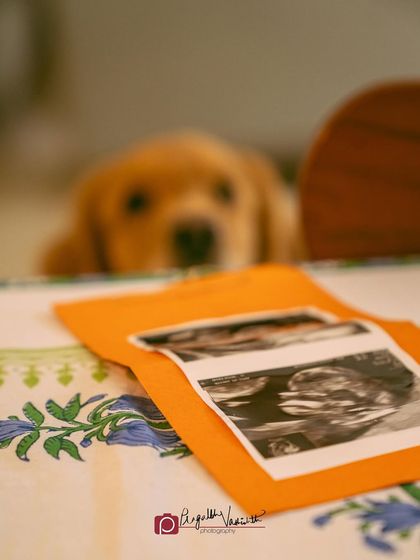 Pragalbh - Fine Art Pet Photography Family & Me photo 22