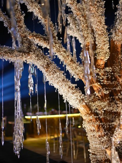 Spectacular Sangeet Nights photo 33