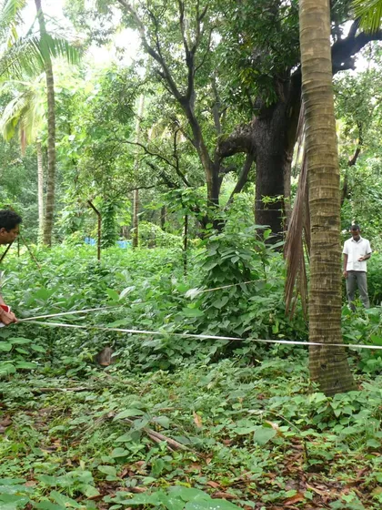 The journey of the K-Lagoon project began with a careful survey of the site. Here, our team measures and marks the location of every tree, ensuring the design would coexist harmoniously with the existing landscape.