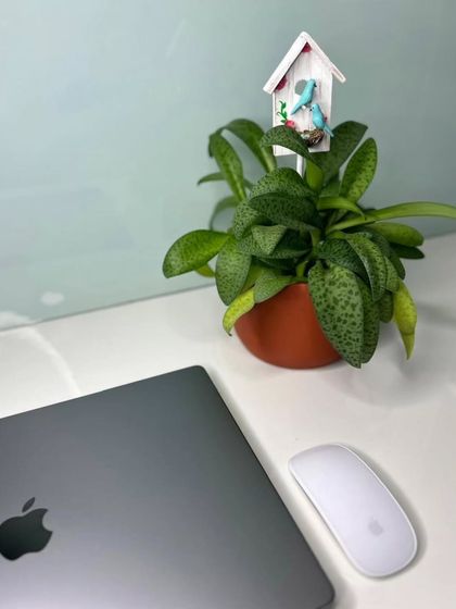 Another view of the birdhouse plant stake on a clean, modern desk. It shows how these little handmade pieces can elevate your everyday spaces.