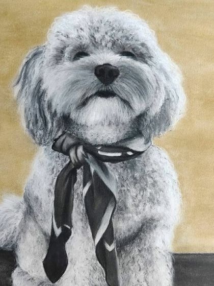 I loved capturing the dignified and slightly sleepy expression of this dapper dog. The little details, like the texture of the fur and the stylish scarf, are what make a hyper-realistic pet portrait truly special.