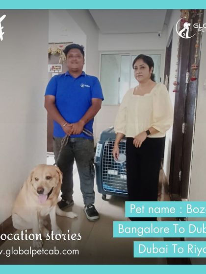 Global Pet Cab - International Pet Relocation Our Pawsengers: Dog Journeys photo 17