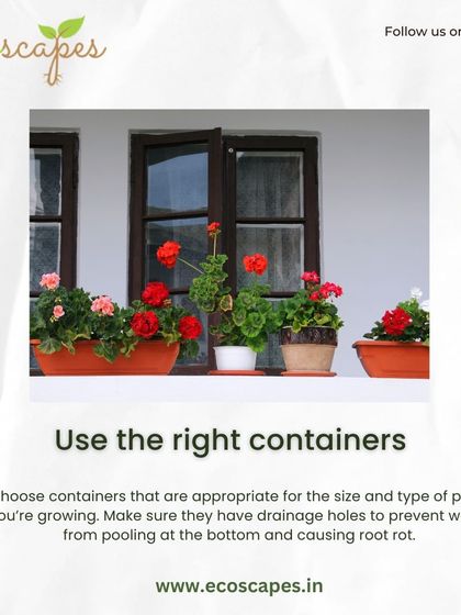 Ecoscapes Landscaping - Urban Gardening & Green Walls Urban Gardening Guides photo 8