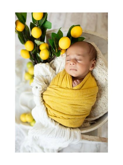 An overhead view of our little lemon drop, peacefully sleeping in a rustic bowl. I love playing with angles to capture the most beautiful compositions.