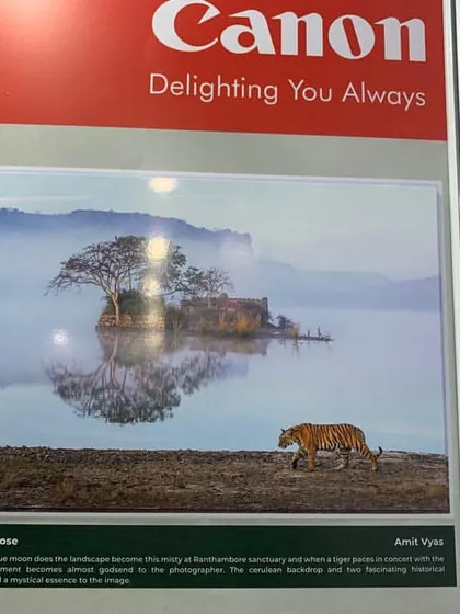 My photo 'Regal in repose' displayed at the Canon Wild Vision exhibition. Seeing my work printed and shared with a wider audience is an incredible feeling.