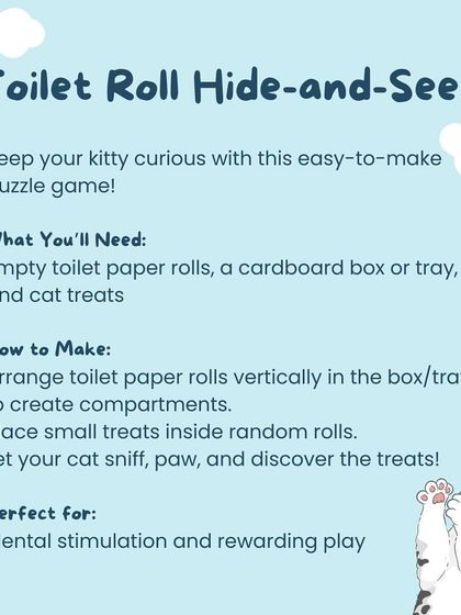 Oh My Dawg - Pet Supplies Playtime & Enrichment photo 14