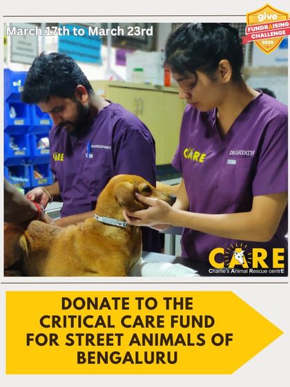 Charlie's Animal Rescue Centre - Community Outreach & Education Support Our Mission: How You Can Help photo 12