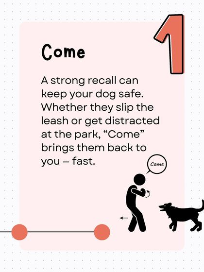 The 'Come' command is number one for a reason: it's a lifesaver. This graphic explains how a strong recall can keep your dog safe if they slip their leash or get distracted in an open area.