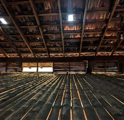 The dramatic play of light through the bamboo ceiling and slatted windows of the Unnathi Farm pavilion's attic space.