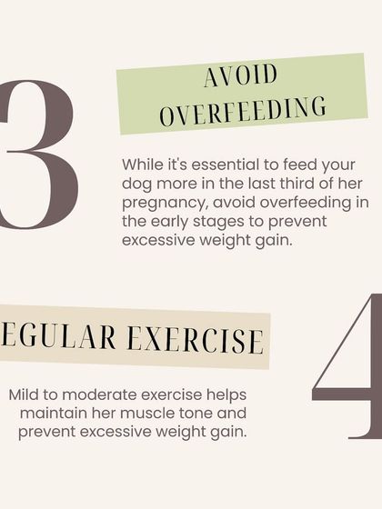 Furever Safe - Pet Boarding & Day Care Pet Parent Resources photo 7