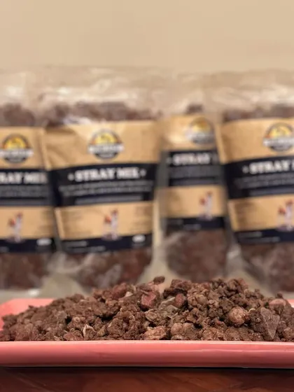 This is what real food for dogs looks like. A plate of our Stray Mix shows the rich texture and color that comes from using only meat and organs. It's a simple, honest meal that even picky eaters enjoy.