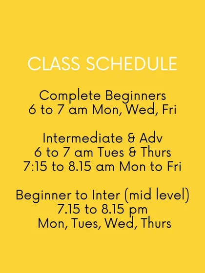 My class schedule. I have batches for all levels, from complete beginners to advanced practitioners.