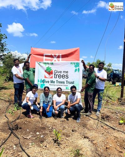 Corporate Sustainability & CSR Solutions
