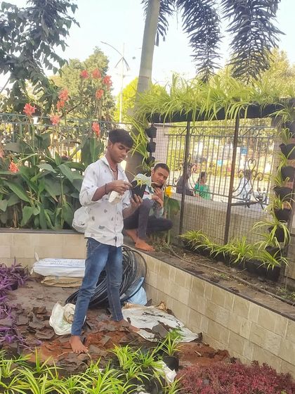 My team is hands-on with every installation. This photo captures us during the planting phase of the Shirdi vertical garden project, carefully placing each plant into the modular grid to bring the design to life.