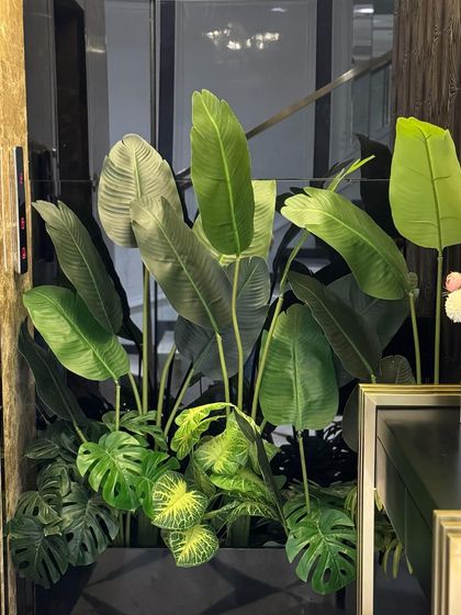 Statement Planters & Green Corners photo 32