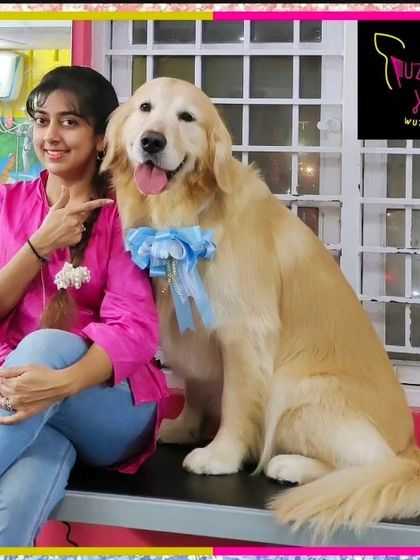 Fuzzy Wuzzy - Pet Grooming & Spa Spaniels, Retrievers & Large Breed Grooming photo 18