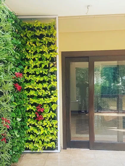 Don't let your balcony be a boring space. Here, I've used a vertical garden with bright green money plants and pops of red Poinsettia to add life and color to the entrance of a home.