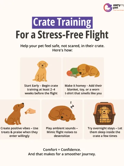 CarryMyPet - Pet Travel & Parenting Consultation Your Pet Travel Questions, Answered photo 13